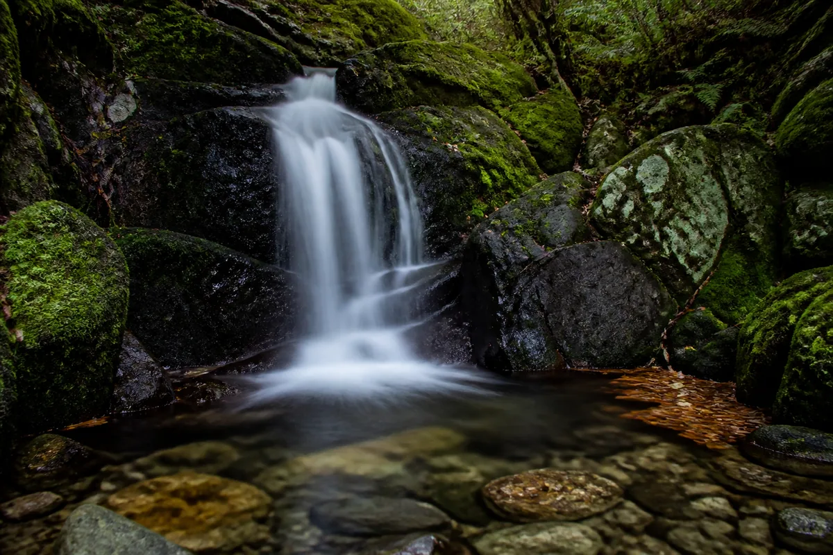 Cascade en forêt filée par une pose de plusieurs secondes, roches humides et mousse verte, lumière tamisée de sous-bois