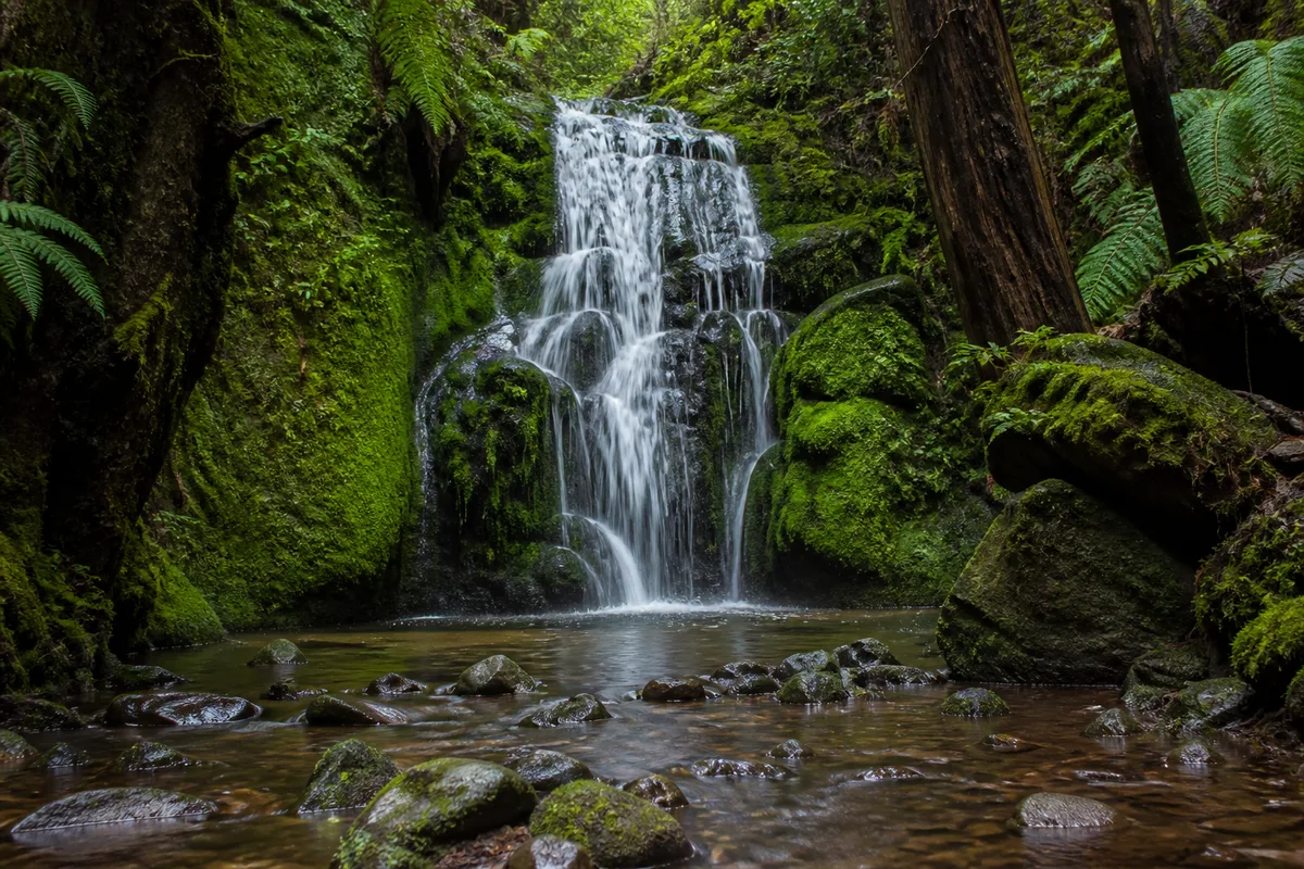 Cascade en sous-bois dont l&rsquo;eau forme des filaments blancs entre des rochers moussus