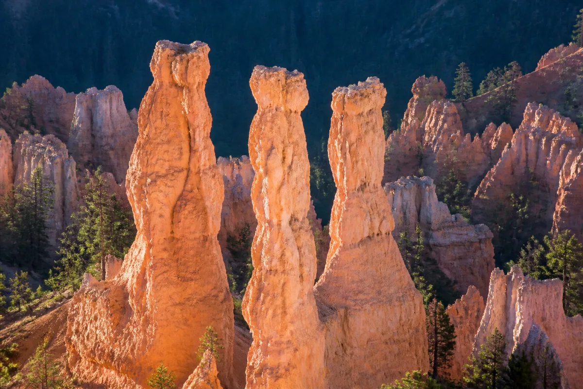 Hoodoos de calcaire rose éclairés de face par le premier soleil du matin dans un amphithéâtre rocheux
